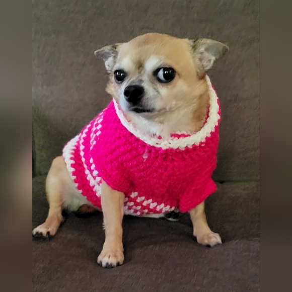 Handknit Doggy Sweater - Picture 3 of 3